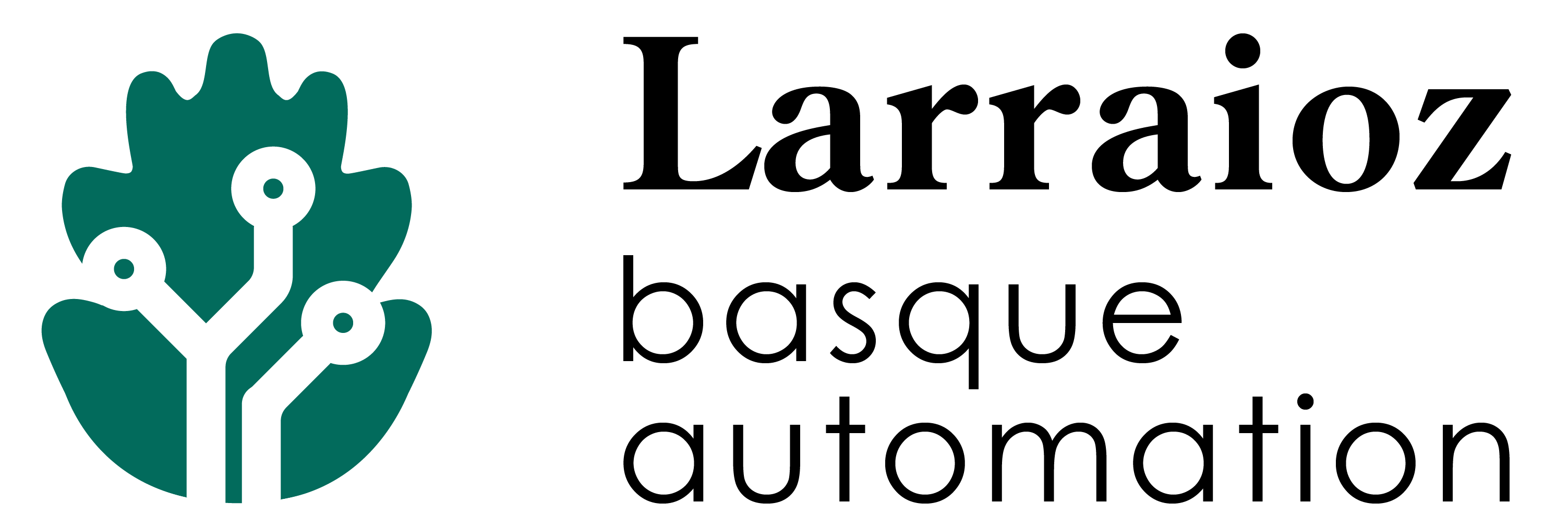 Larraioz Basque Automation